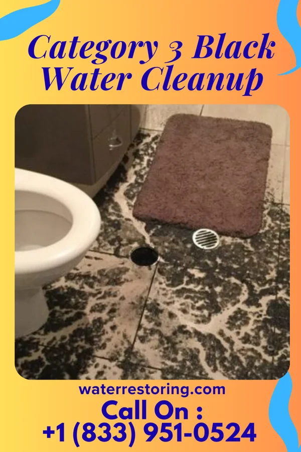 Category 3 Black Water Cleanup in Maple Heights, OH