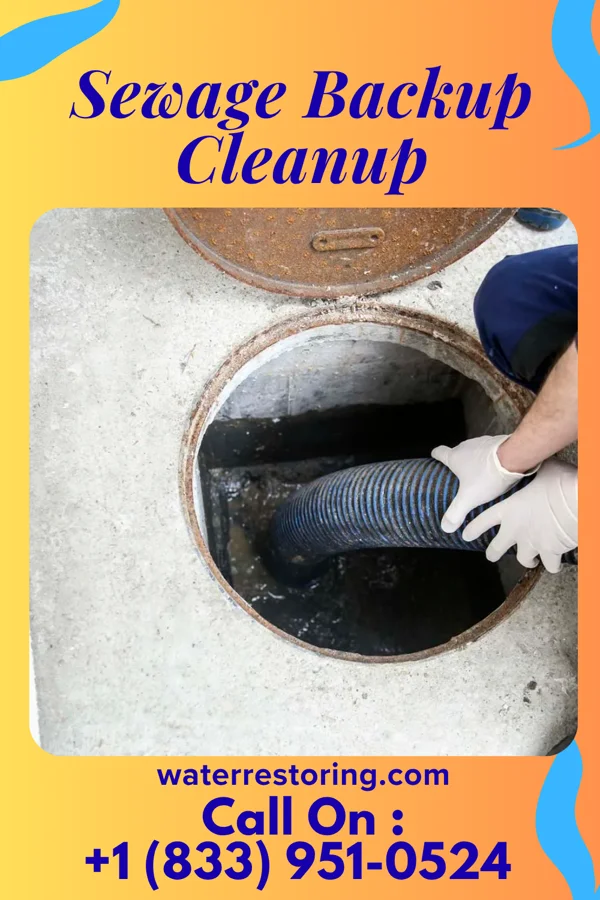 Sewage Backup Cleanup in Maple Heights, OH