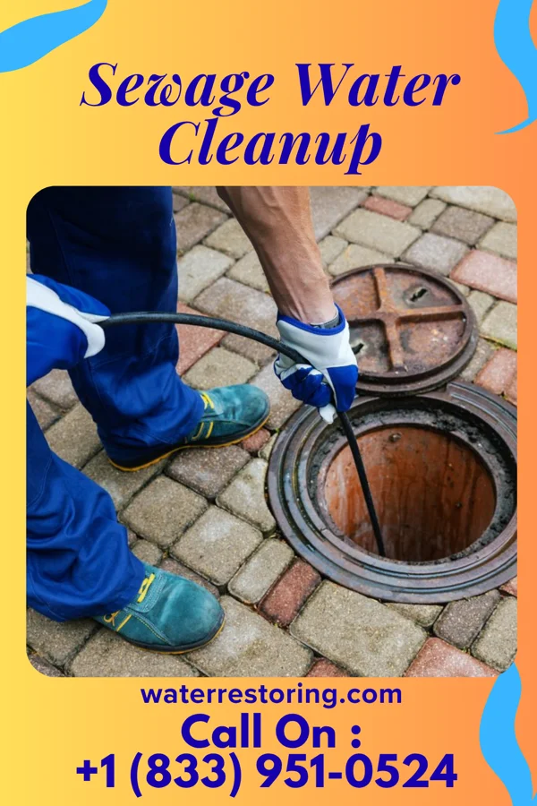 Sewage Water Cleanup in Maple Heights, OH