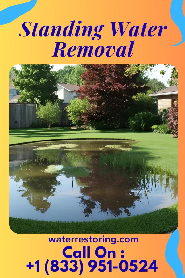 Standing Water Removal in Maple Heights, OH
